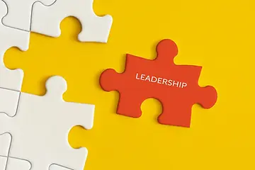 leadership puzzle