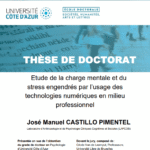Etude de la charge mentale et du stress engendrés par l’usage des technologies numériques en milieu professionnel [THESE]